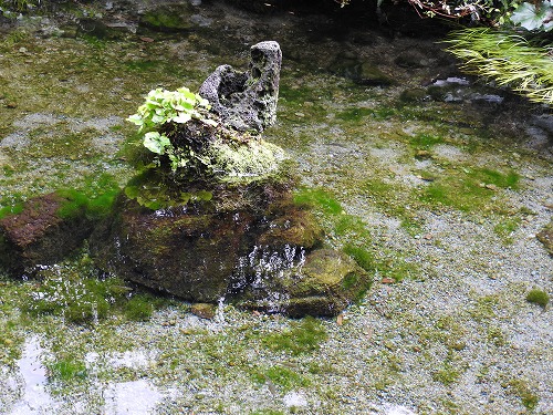 しまばら水屋敷11