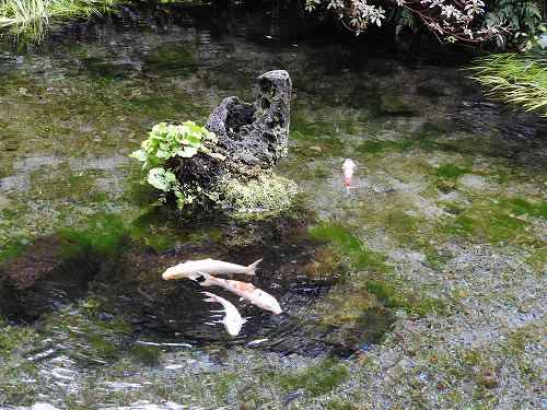 しまばら水屋敷25