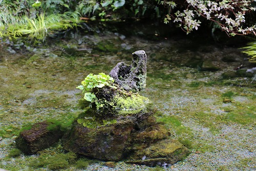 しまばら水屋敷3