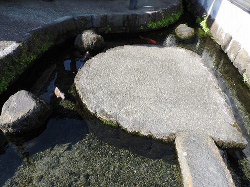 湧水14