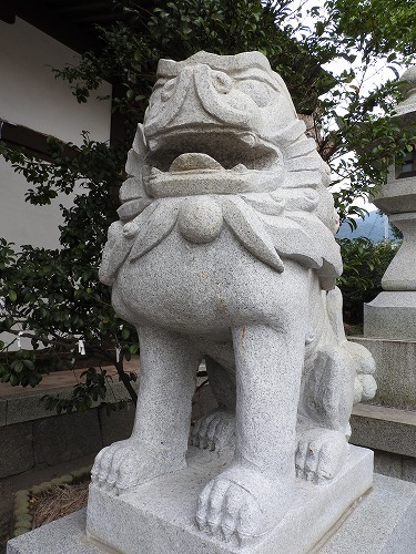 小濱神社24