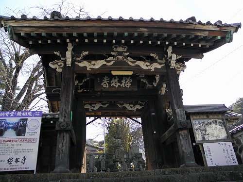 禅林寺2