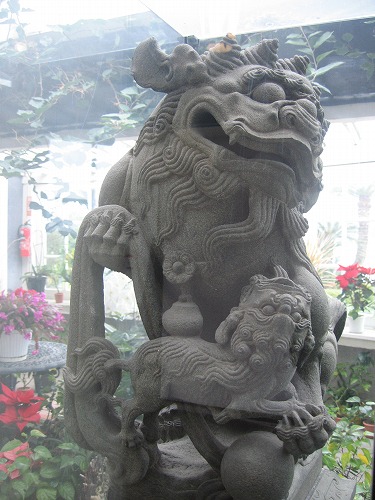 麒麟5
