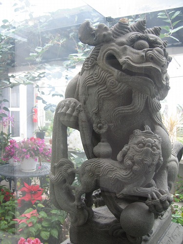 麒麟6