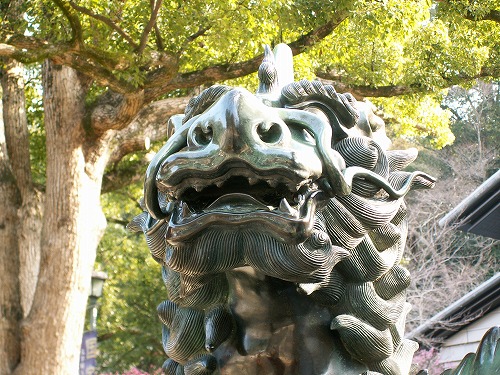 麒麟20