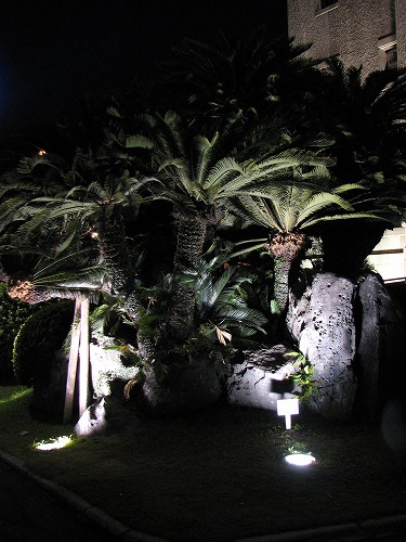 鹿児島中央公民館3