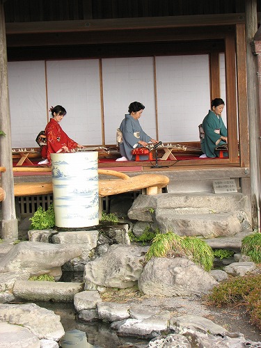 琴11