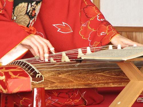 琴5