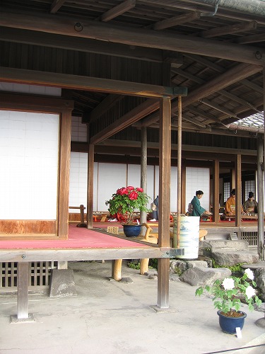 琴16