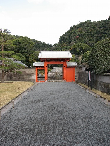 錫門6