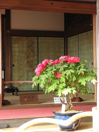 化粧の間11