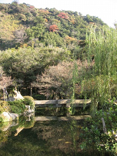 瓢池16