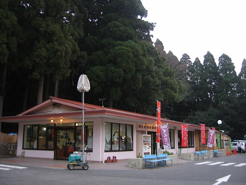 霧島神宮3
