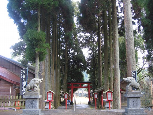 和気神社の猪4