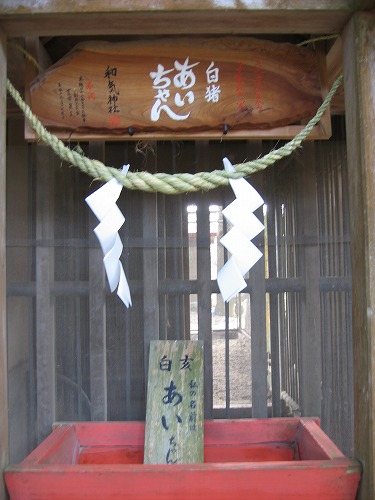 和気神社の猪10