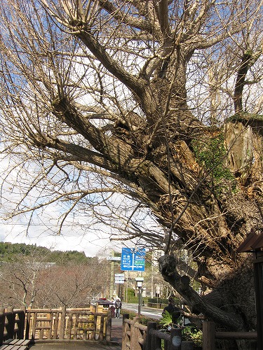 亀甲城跡公園3