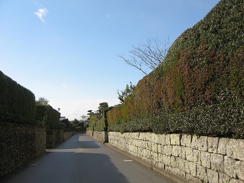 知覧9