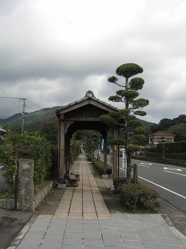知覧29