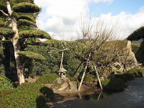 西郷恵一郎庭園7