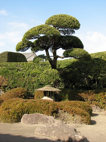西郷恵一郎庭園14