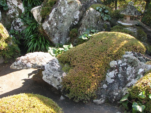 西郷恵一郎庭園8