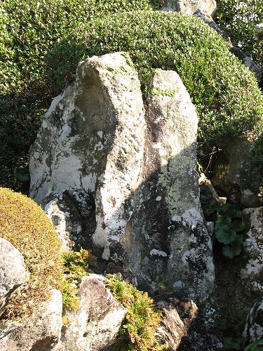 西郷恵一郎庭園16