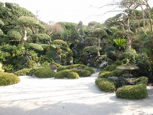 佐多民子庭園7