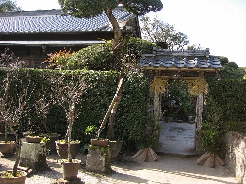 佐多民子庭園11