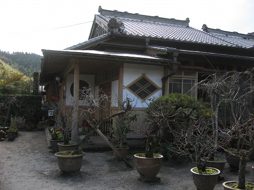 佐多民子庭園12