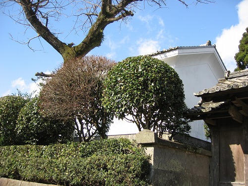 佐多民子庭園13