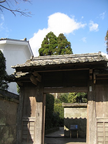 佐多民子庭園15