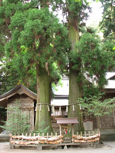 高千穂神社4
