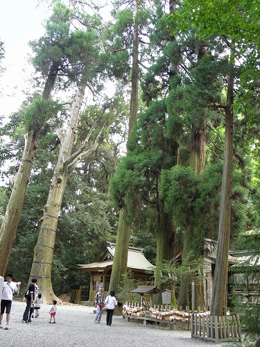 高千穂神社8