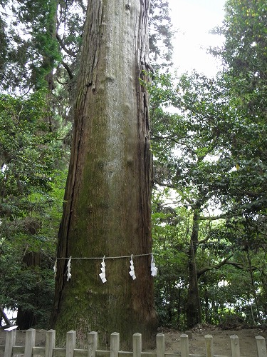 高千穂神社10