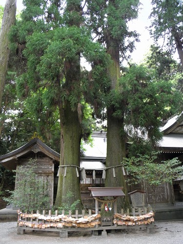 高千穂神社5