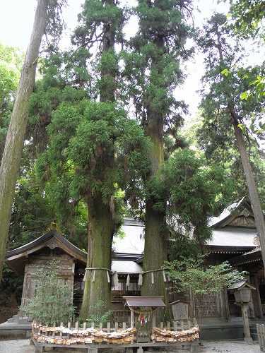 高千穂神社6