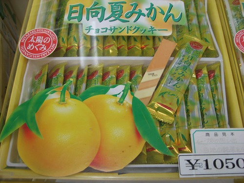 宮崎16