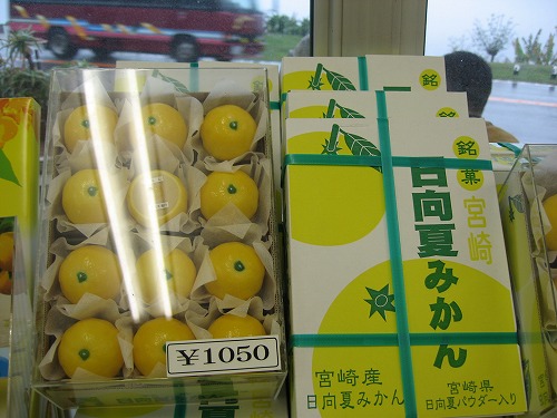 宮崎15