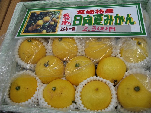 宮崎土産3
