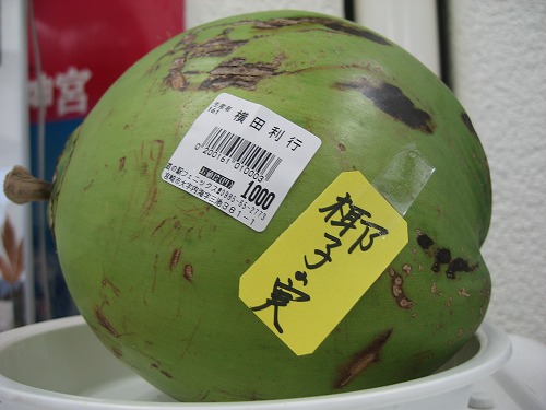 宮崎土産4