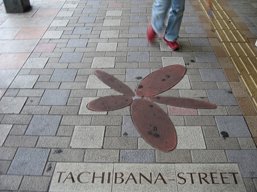 宮崎2