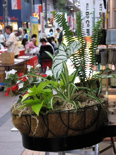 宮崎8
