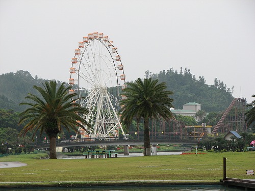 青島24