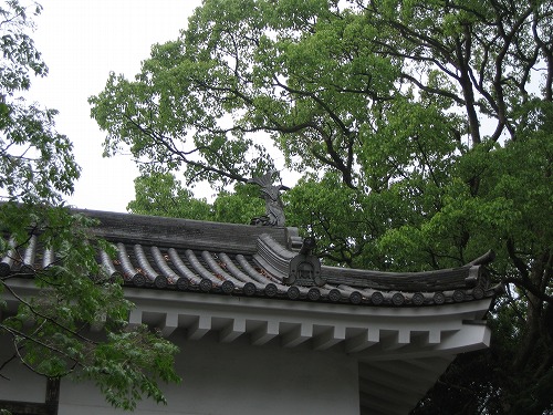 飫肥城8