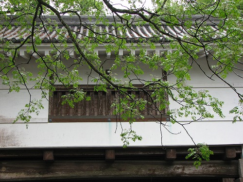 飫肥城14
