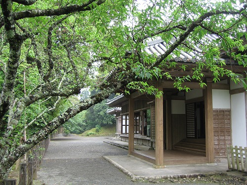 飫肥城28