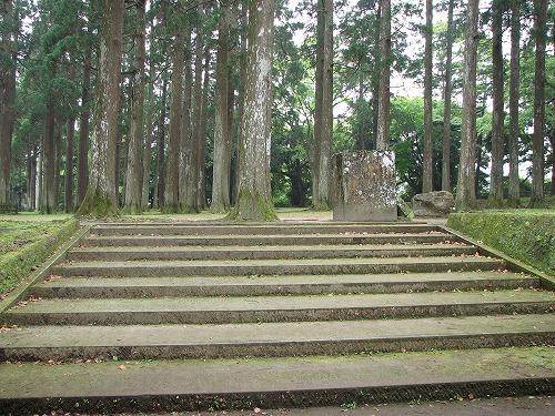 飫肥城8