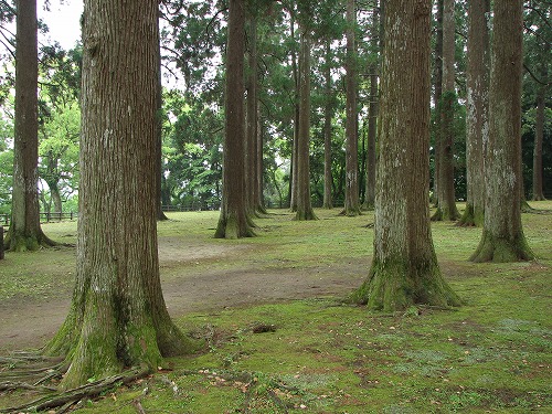 飫肥城11