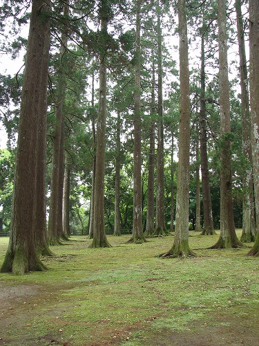 飫肥城17
