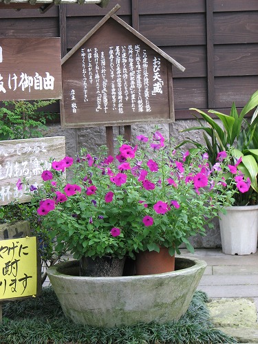 おび天蔵9